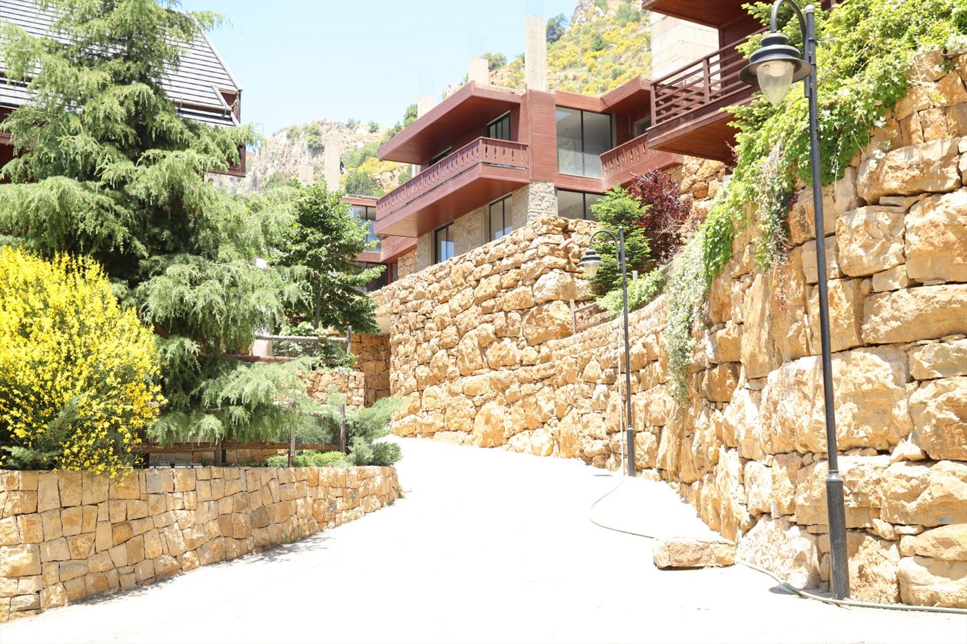 A pale gravel lane curving uphill between tall dry-stone retaining walls of rough golden blocks, with greenery spilling over the upper wall, black street lamps along the edge, a mature conifer and a bush of vivid yellow broom on the left, and a chalet with timber balconies above.
